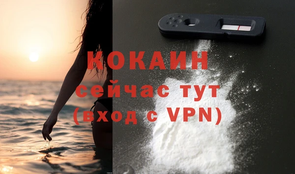 крисы Абаза