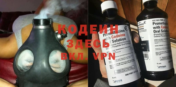 крисы Абаза